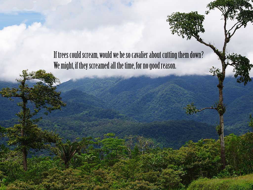 Pics Photos Nature Quotes Wallpaper With