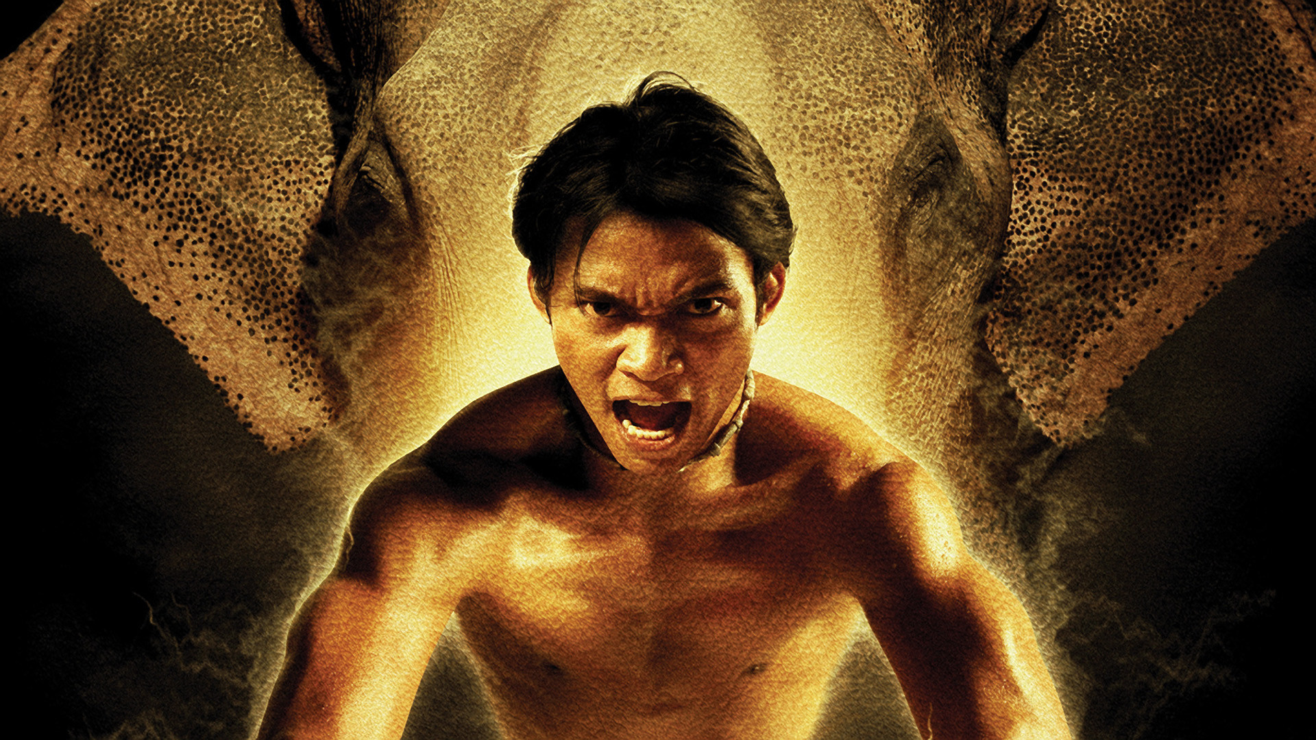 Tony Jaa Wallpaper High Resolution And Quality
