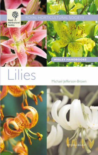 The Lily Is One Of Most Beautiful And Popular Flowers In