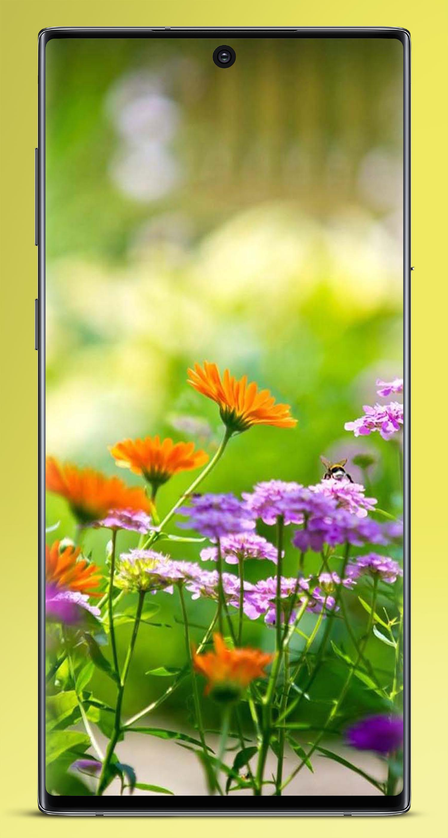 🔥 [44+] Wallpapers Bunga | WallpaperSafari