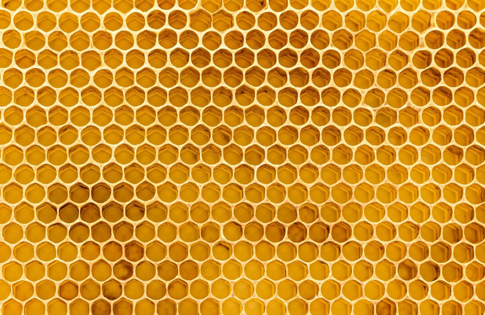 Honeycomb Texture Wallpaper Mural In