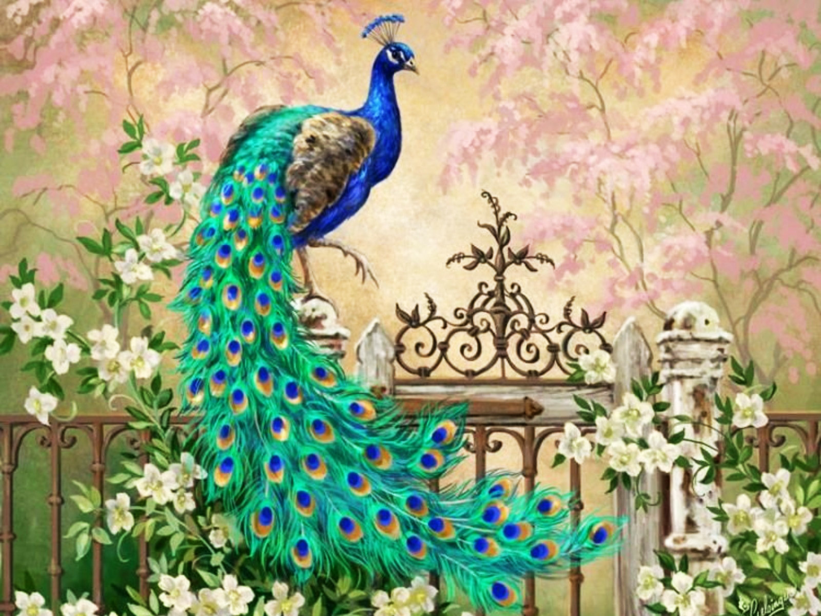 Peacock Feathers Background HD