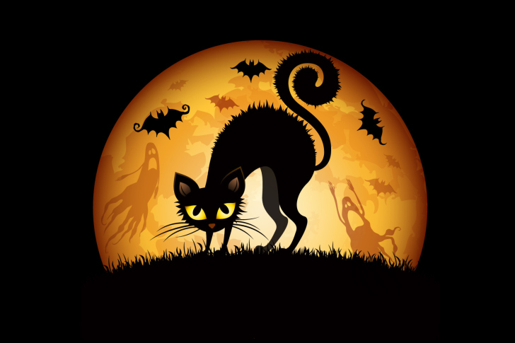 Scary Black Cat Wallpaper For Android