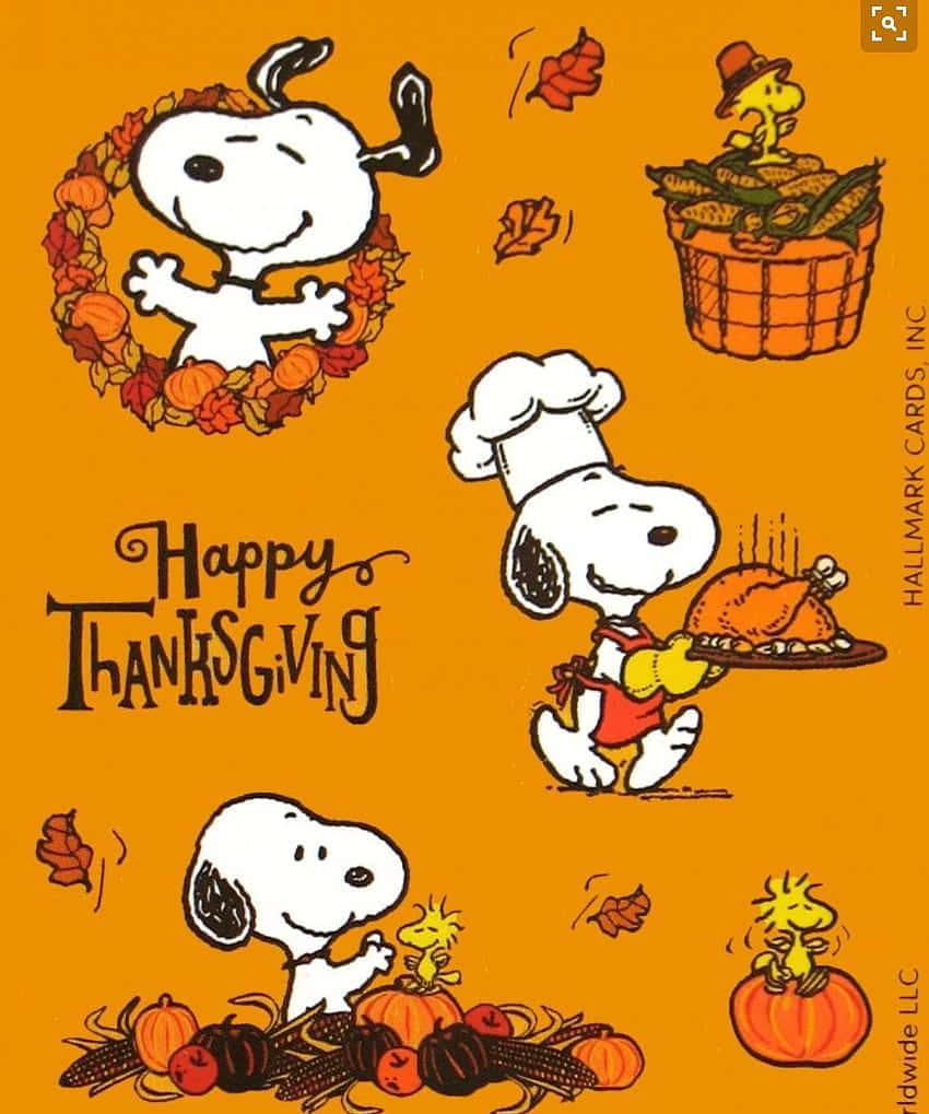 Snoopy Celebrates Thanksgiving With His Friends Wallpaper