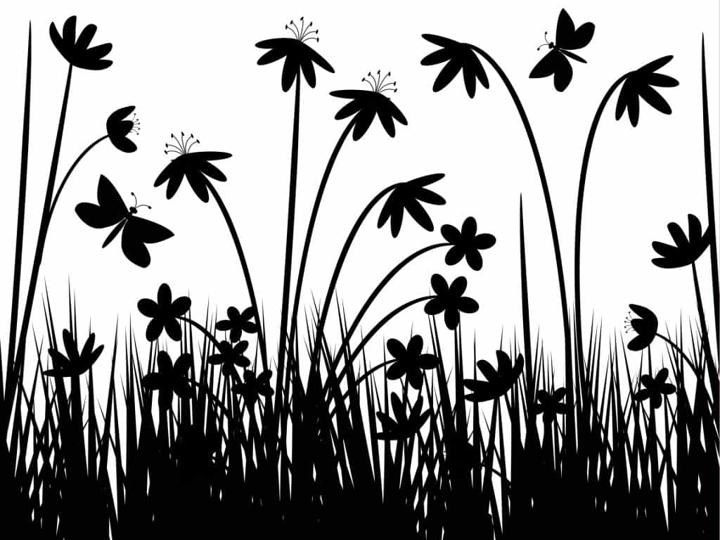 Black And White Flowers Wallpaper HD
