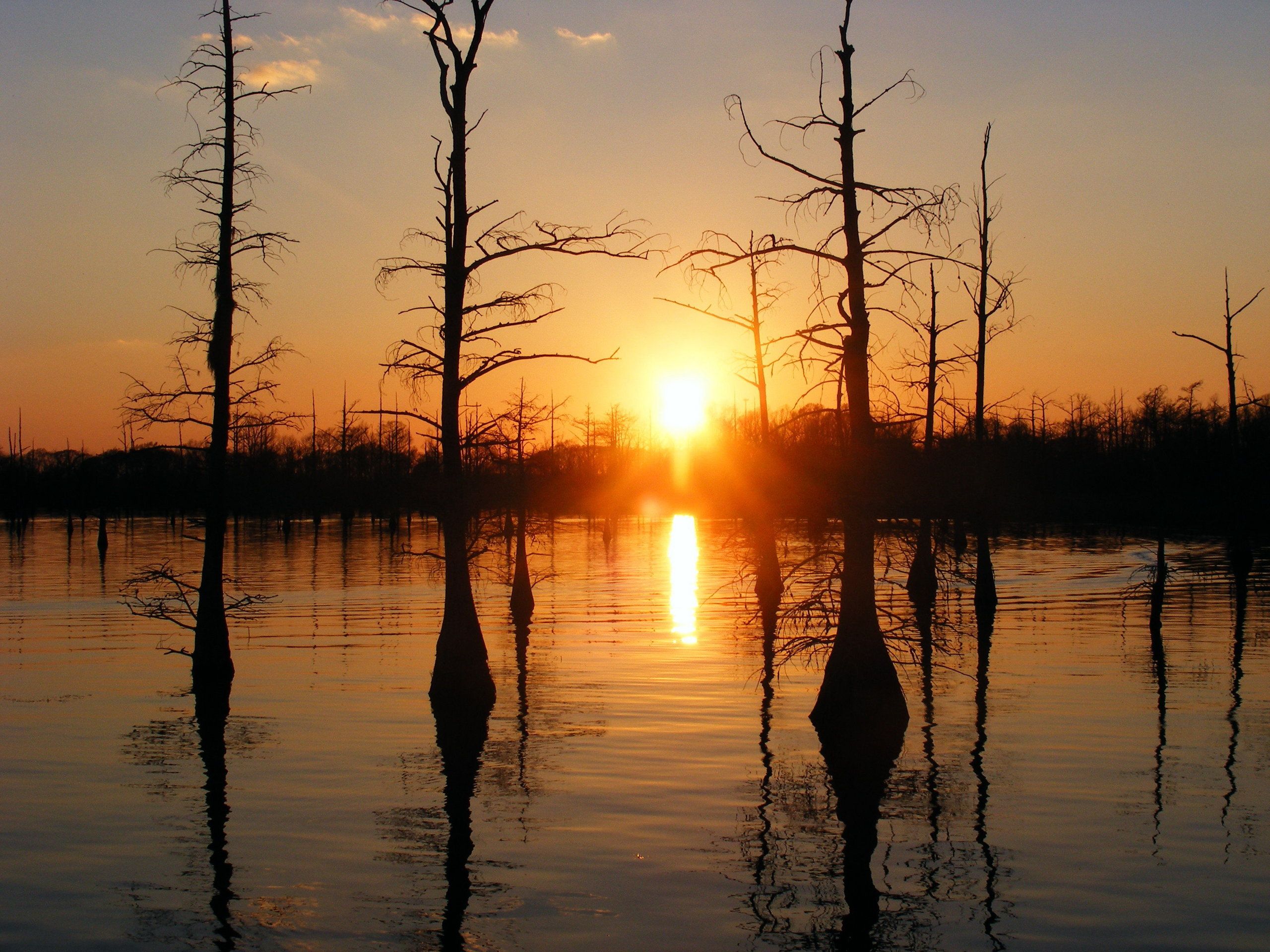 Bayou Sunset Wallpaper
