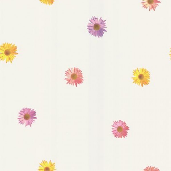 Free download Daisy White Gerber Daisies Wallpaper Warehouse [600x600 ...