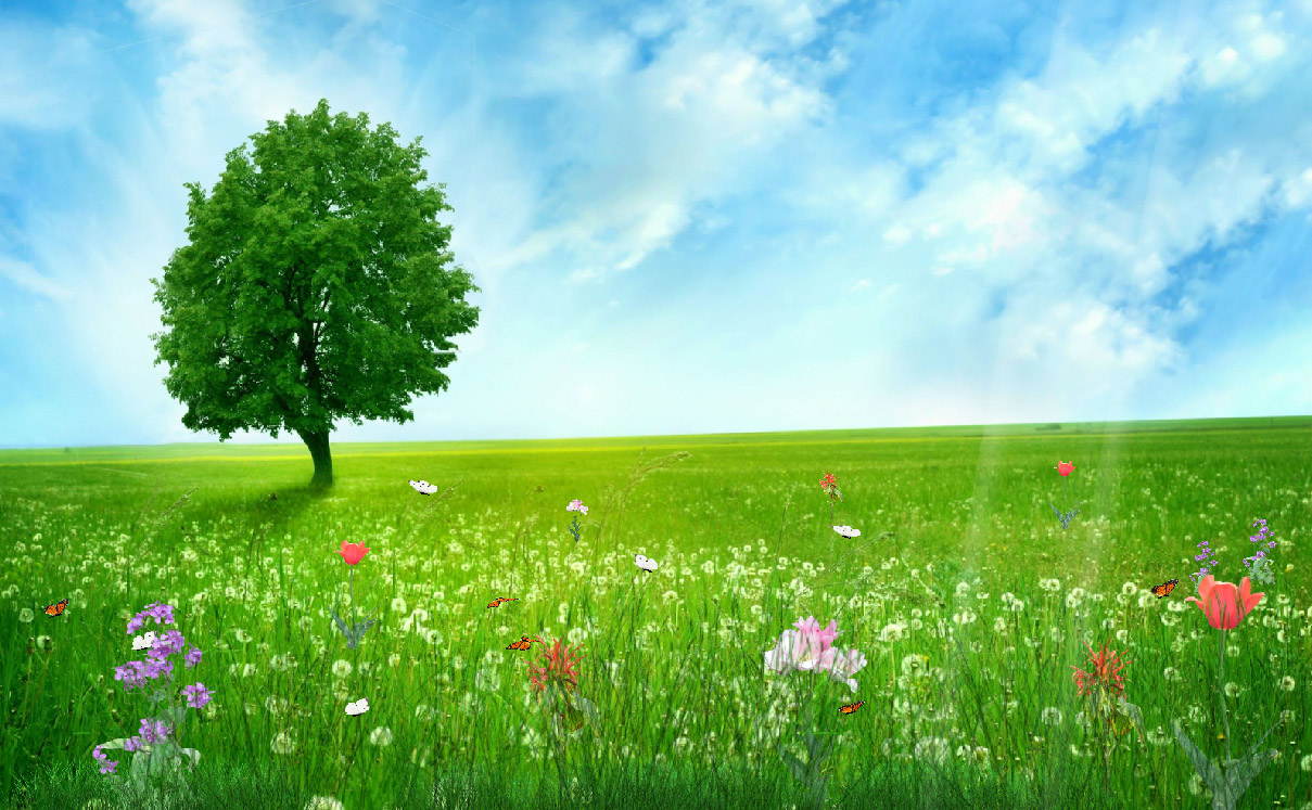 Happy Spring Animated Amazing Wallpapers