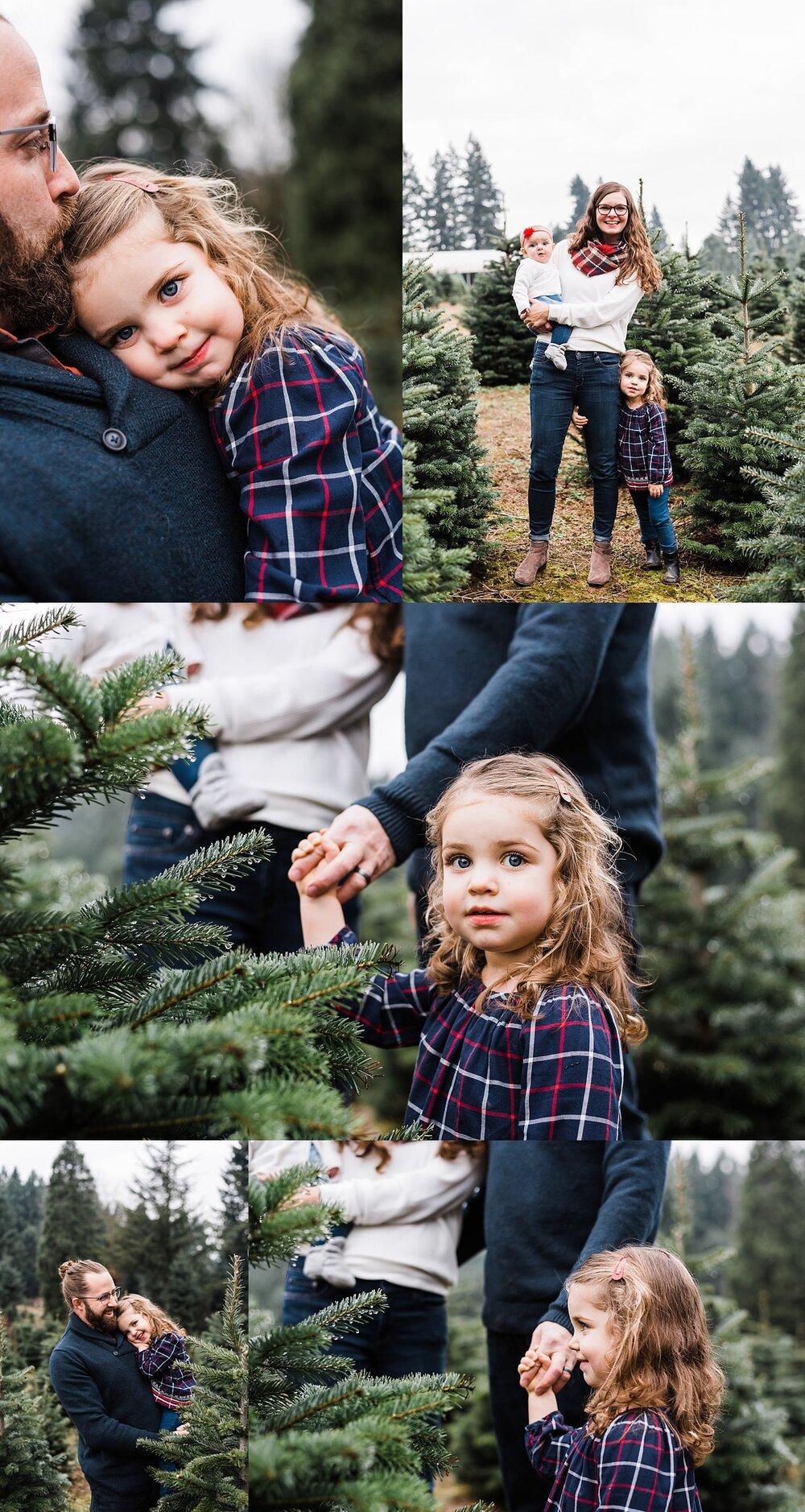 Portland Oregon Christmas Tree Farm Photos Elizabeth Hite