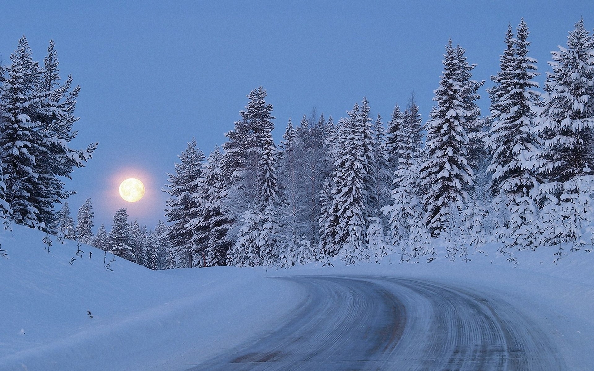 Night Snow Wallpaper Background - WallpaperSafari