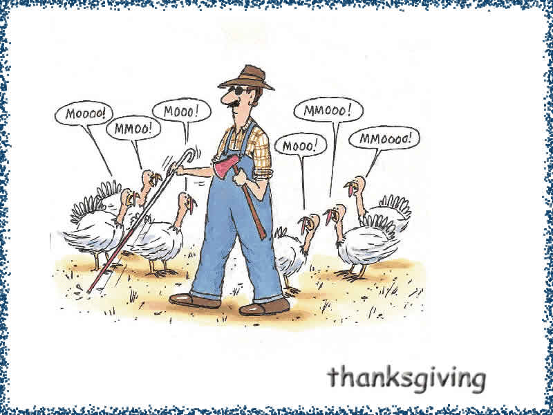 Photo for funny thanksgiving wallpaper hd