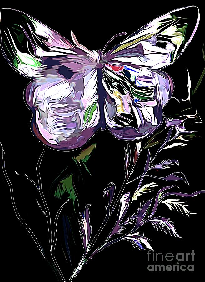 Butterfly On Black Background Mixed Media by Debra Lynch