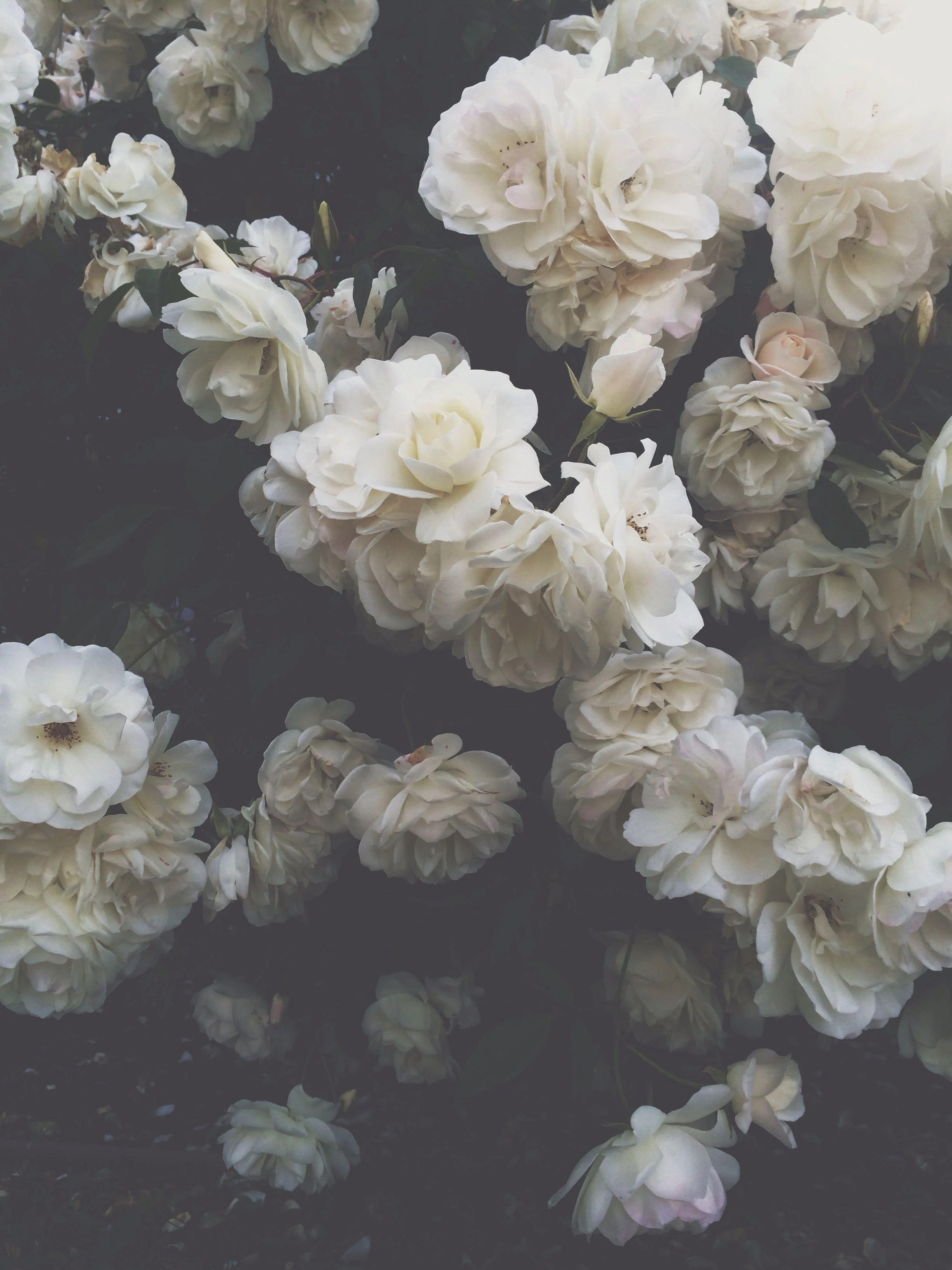 Aesthetic Wallpaper For Pc HD