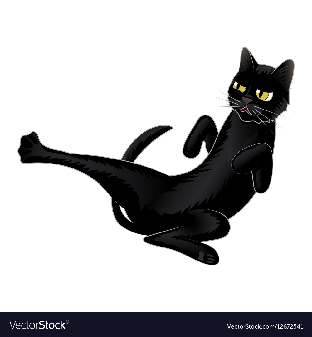 Cute Black Cat Fighting On White Background Vector Image