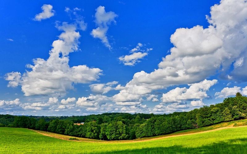 Blue Grass Landscape Nature Fields HD Desktop Wallpaper