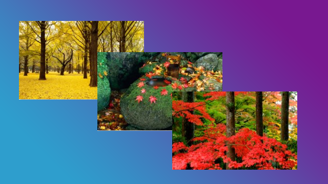Desktop Fun Autumn Color In Japan Theme Fall Wallpaper Collection