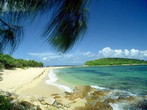 Tropical Beach Screensaver Screensavers