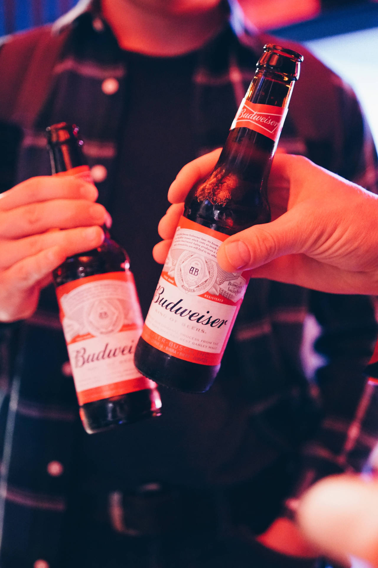 Beer Wallpaper