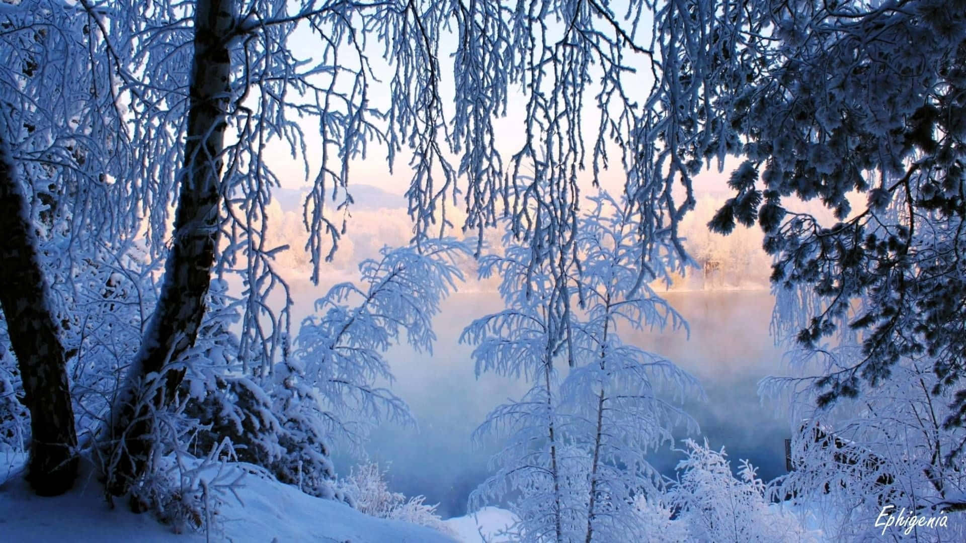 Stunning 4k wallpaper of a snow-covered forest with a frozen river in the background