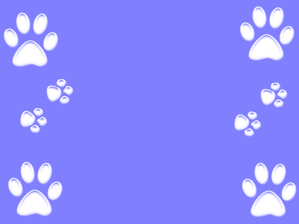 Paws And Bones Background Clipart
