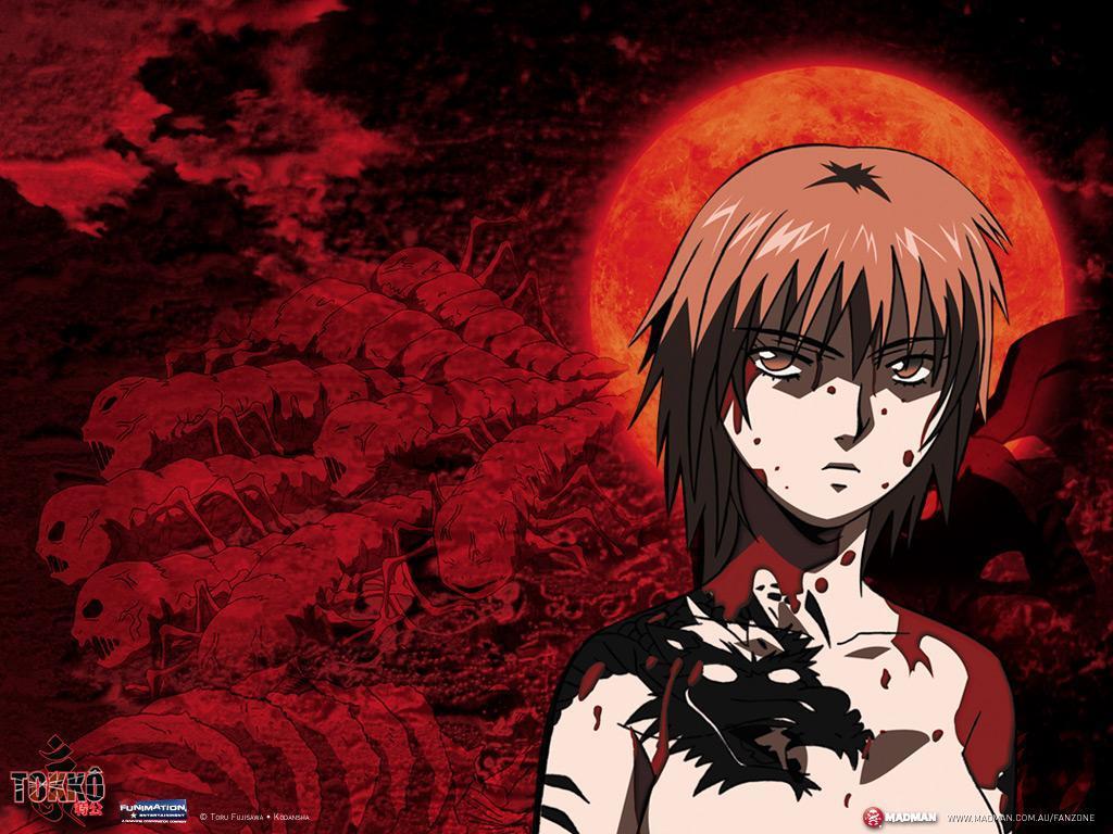 Sakura Wallpaper Tokko