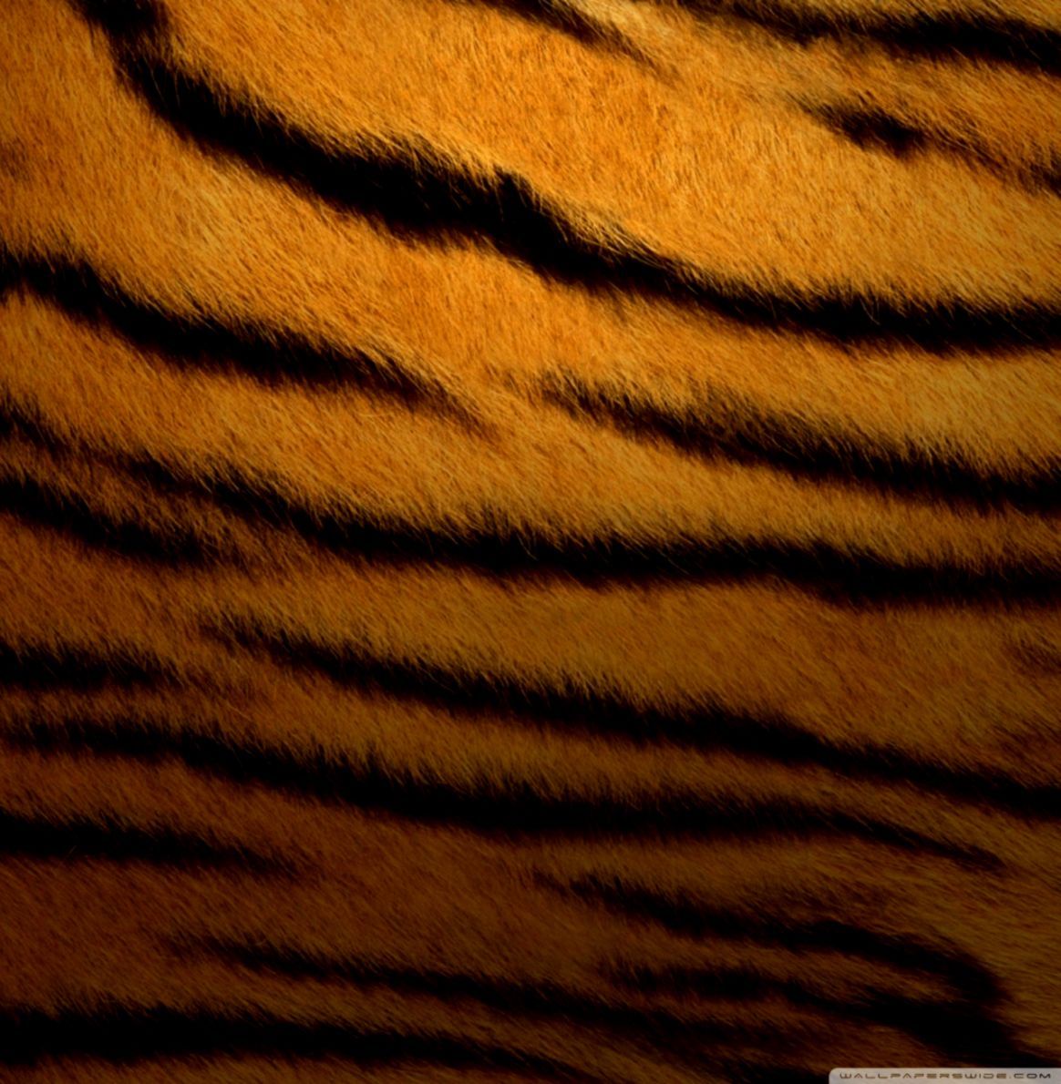 Animal Fur Wallpaper On