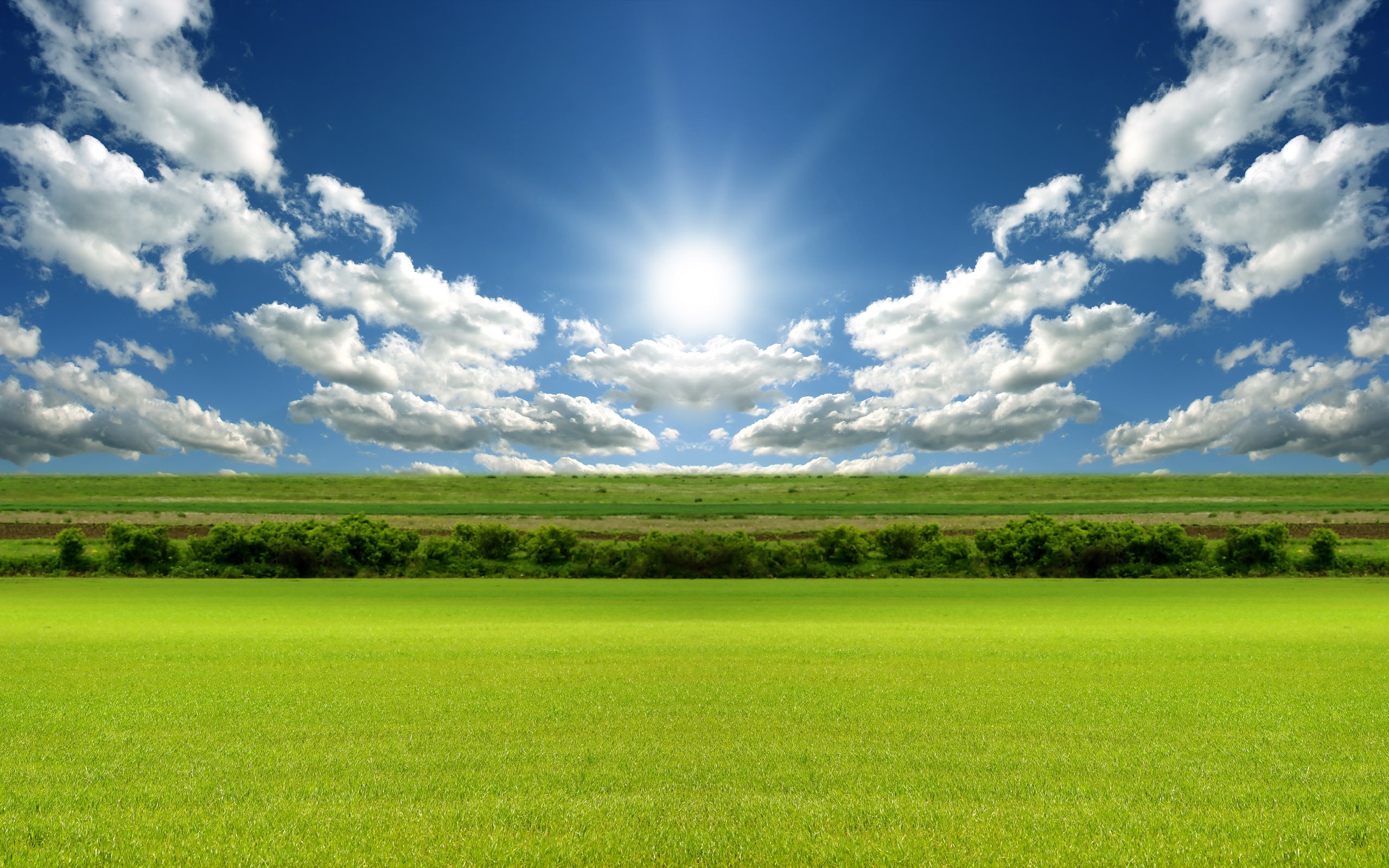 Best Desktop Wallpaper Sites