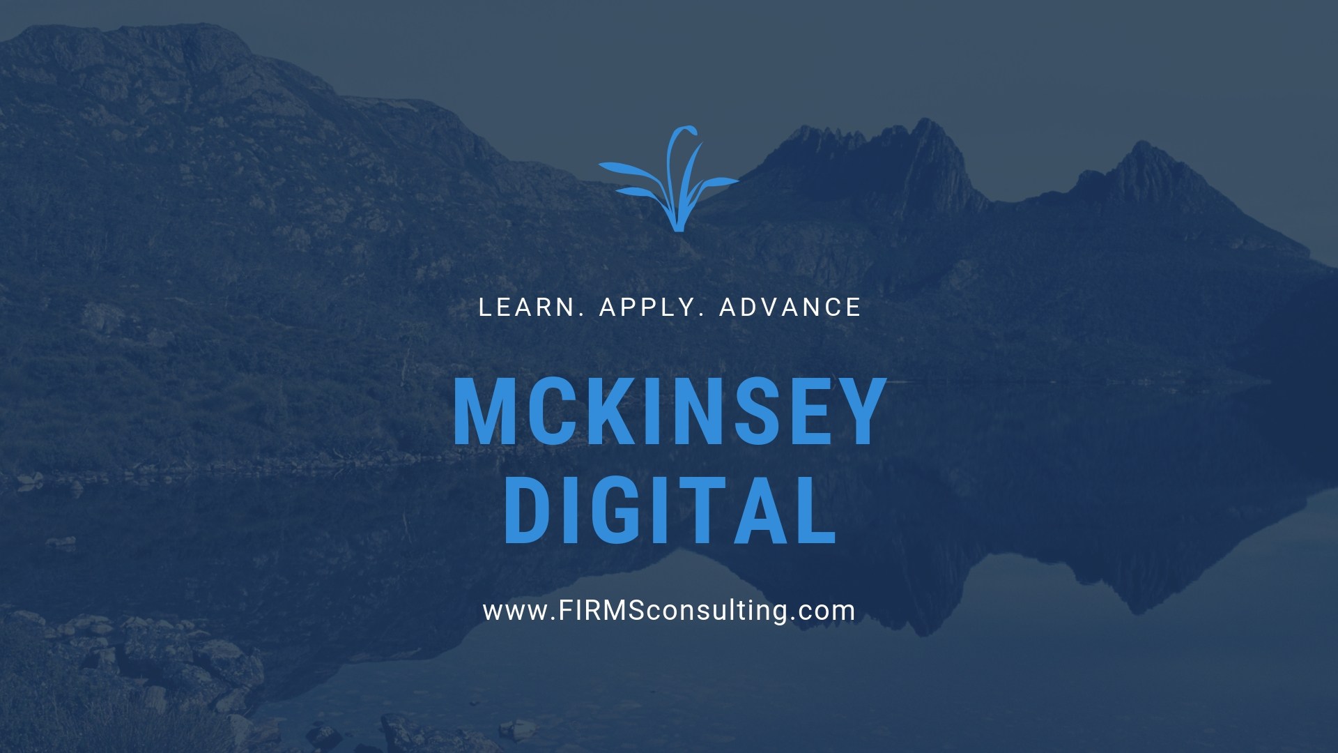Mckinsey Digital Firmsconsulting L Strategy Skills Case Inters