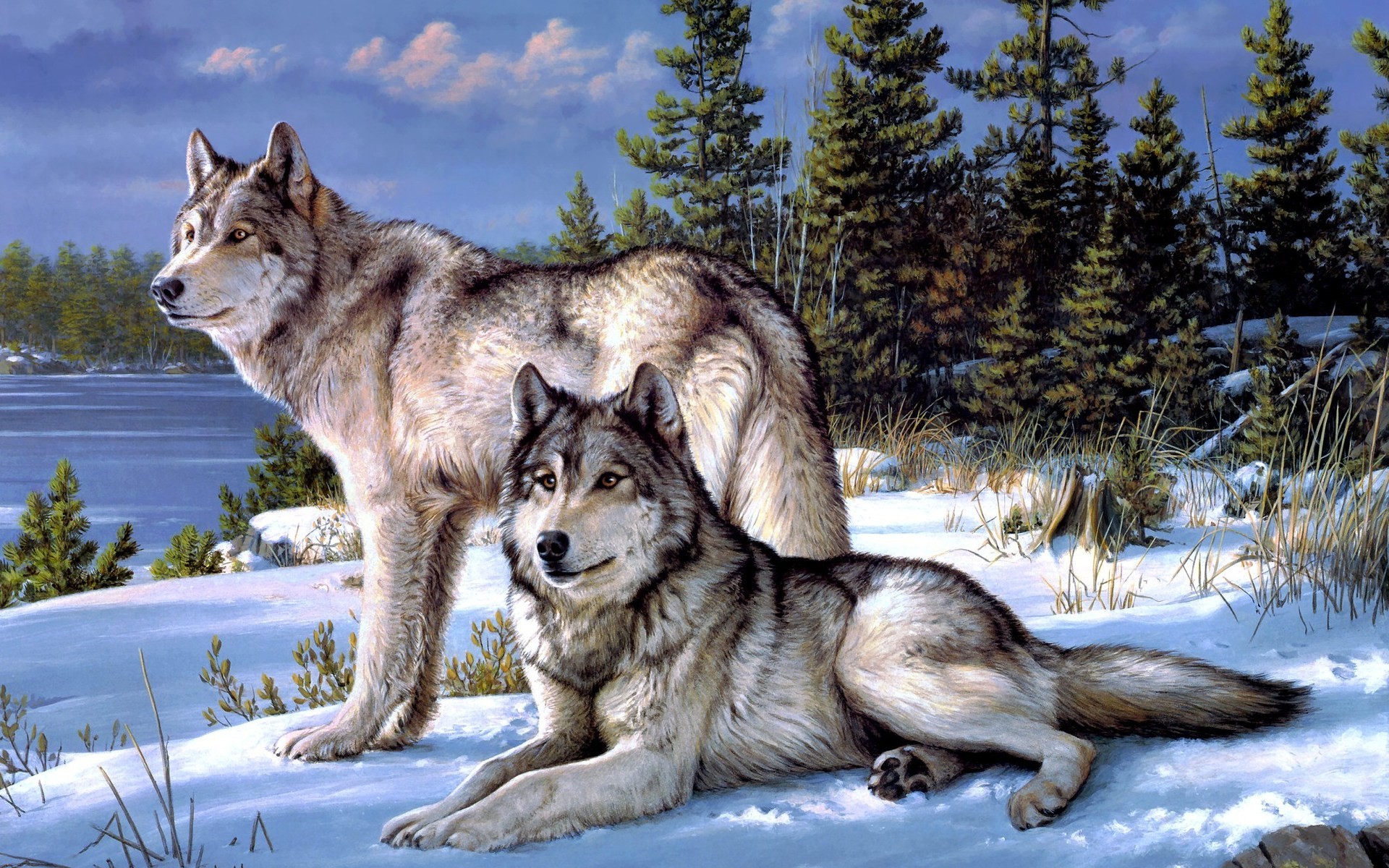 Winter Snow Wallpaper Animals Wolves