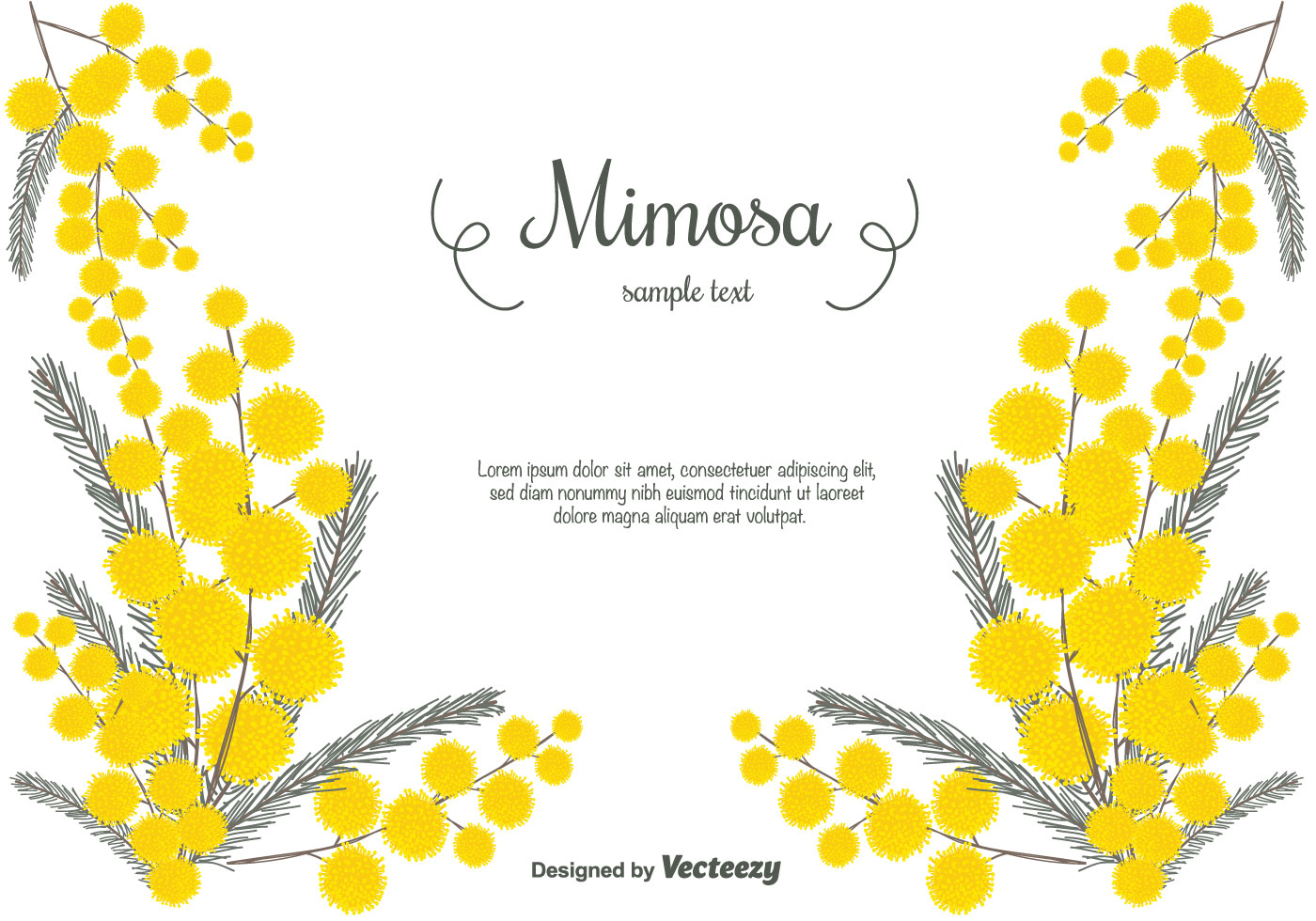 Hand Drawn Mimosa Vector Background