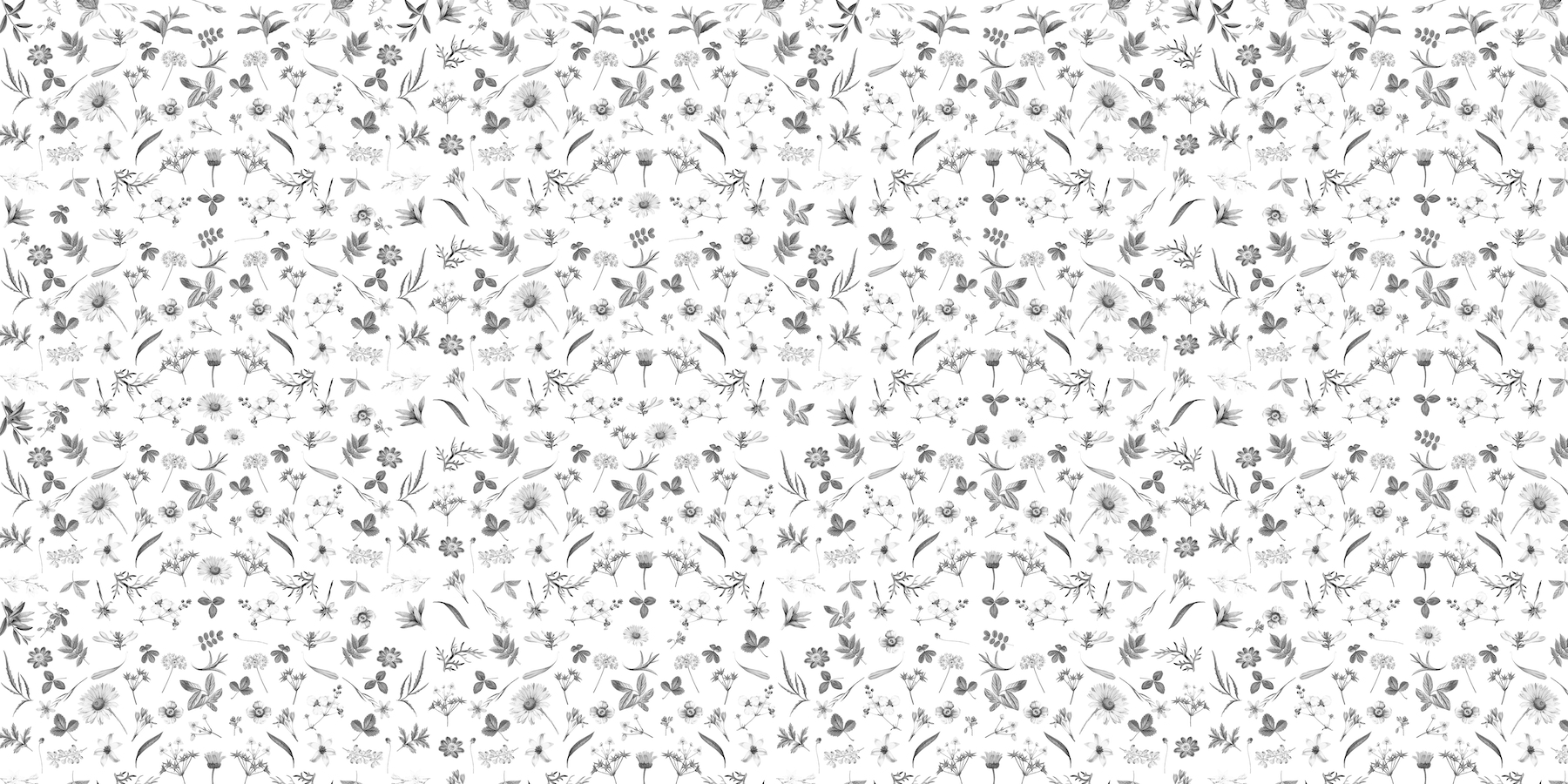 Pattern Floral White Wallpaper