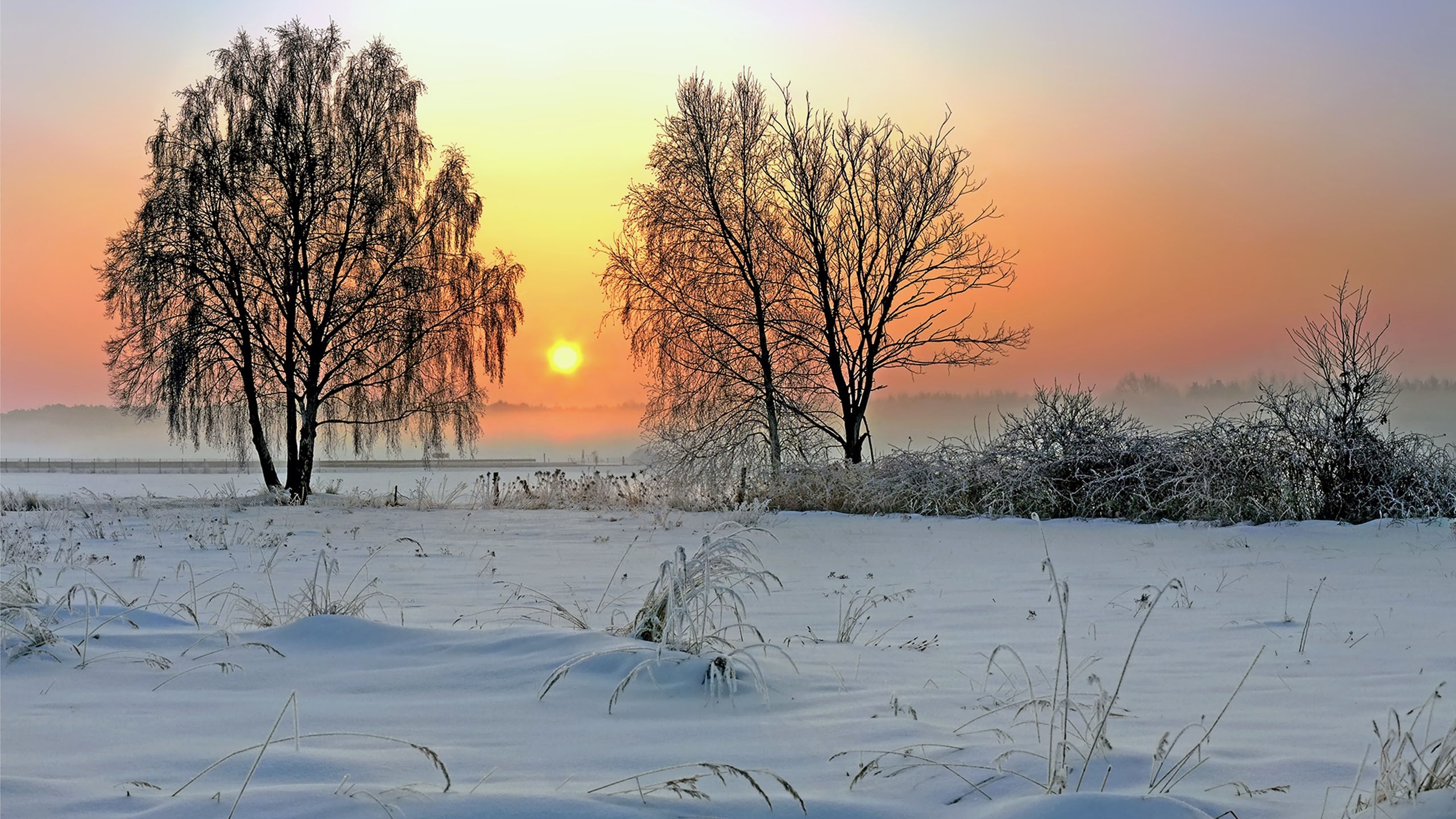 Winter Siberia Western Wallpaper