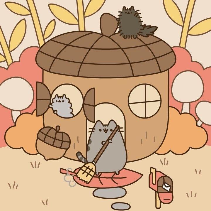 Pusheen on Instagram Where would you live if you were small
