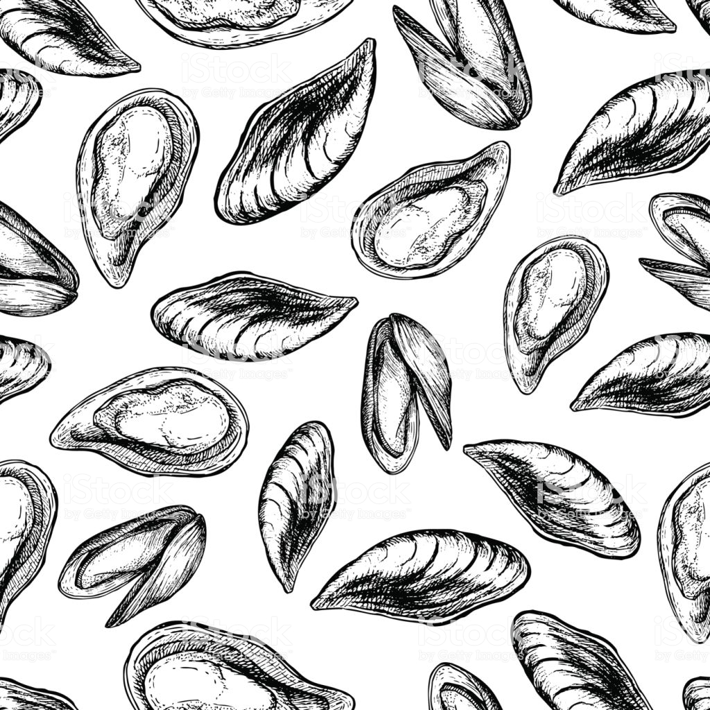 🔥 Download Mussel Hand Drawn Vector Seamless Pattern Engraved Style ...
