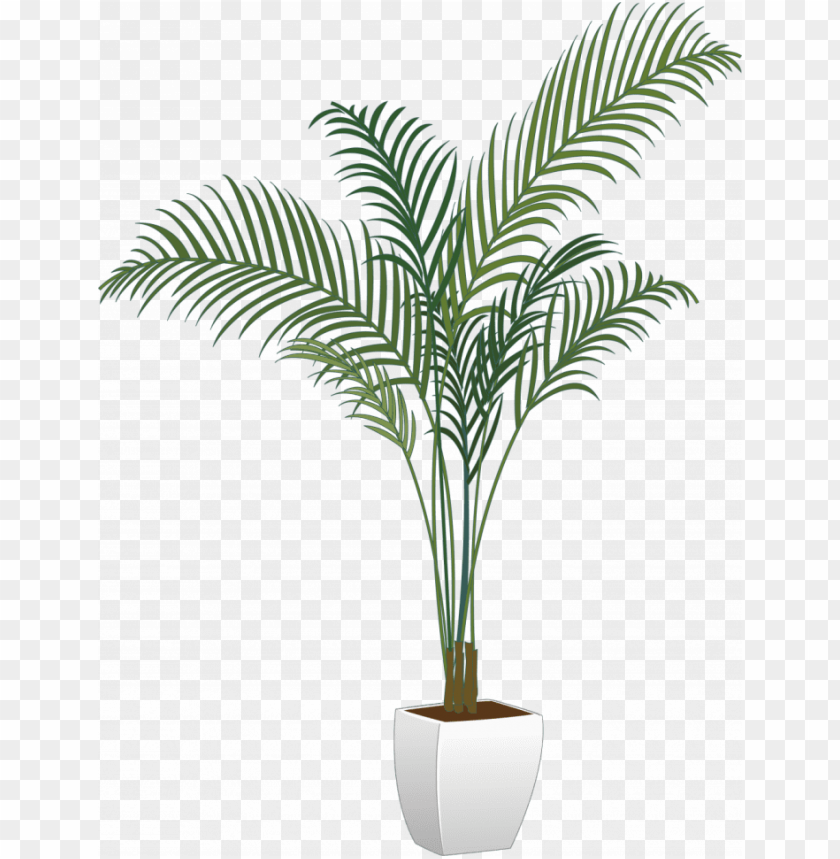 Tree Plants Flower Transparent Potted Png Image With