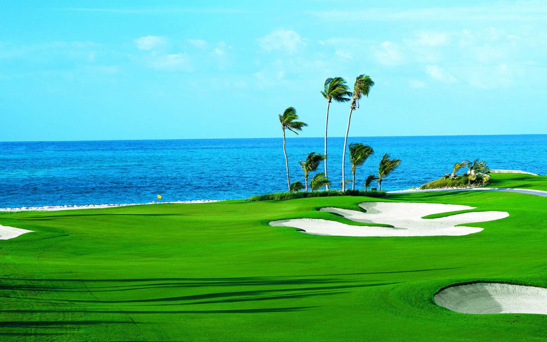 Palm Tree Horizon Ocean Blue Green Water Man Made Golf Course Wallpaper