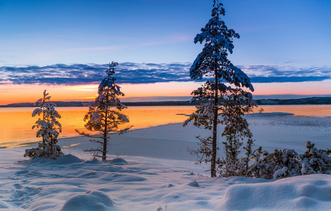 Wallpaper Winter Snow Trees Sunset Lake Sweden