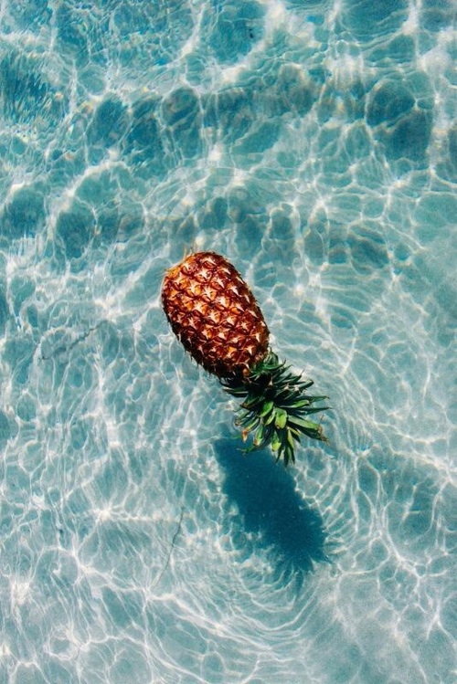 pineapple backgrounds Tumblr 500x749