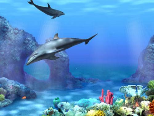 Wallpaper Enjoy Animated Dolphins For Your Puter