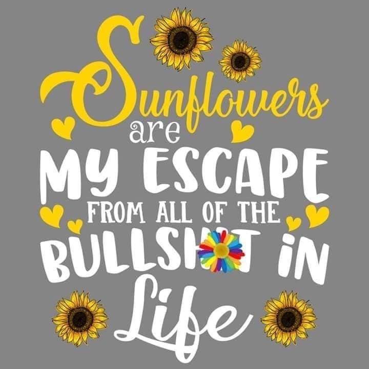 Cheryl Nunn On Inspirational Quotes Sunflower