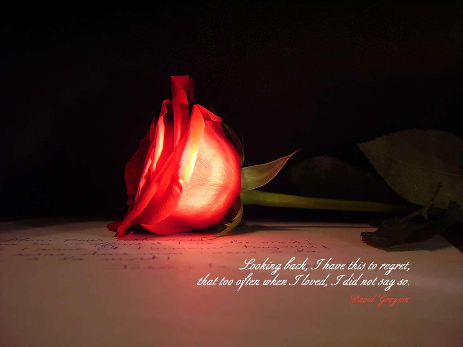  Love Quotes Wallpapers LoveQuotes Desktop Wallpapers Love Quotes