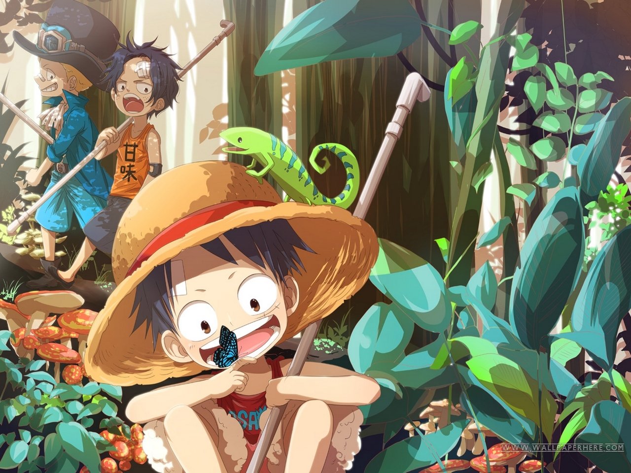 Geous One Piece Anime HD Wallpaper Design Hey