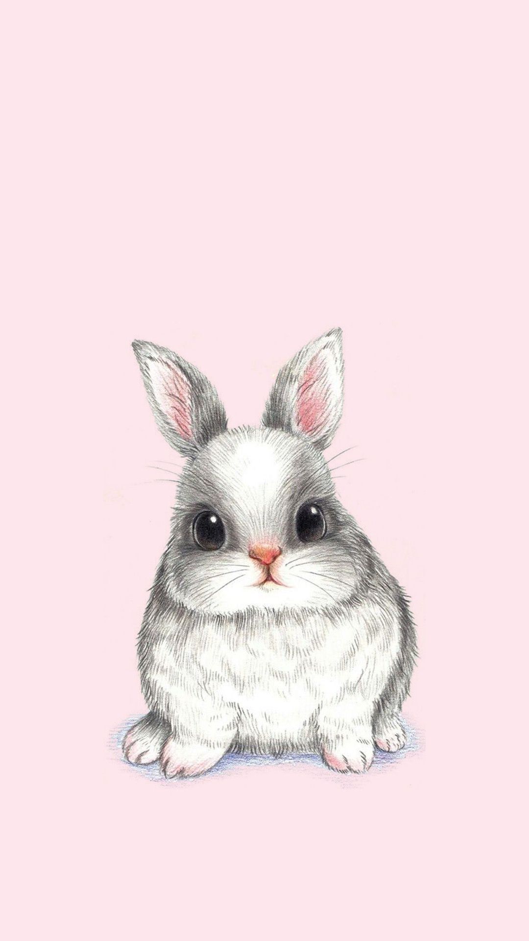 Cute Bunny Phone Wallpaper At Wallpaperbro