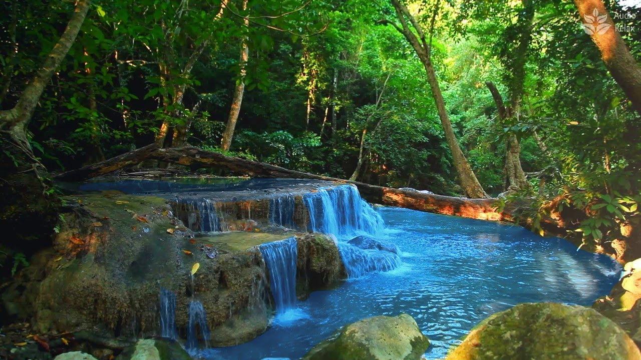 Calming Tropical Rainforest Waterfall In Thailand Nature Asmr