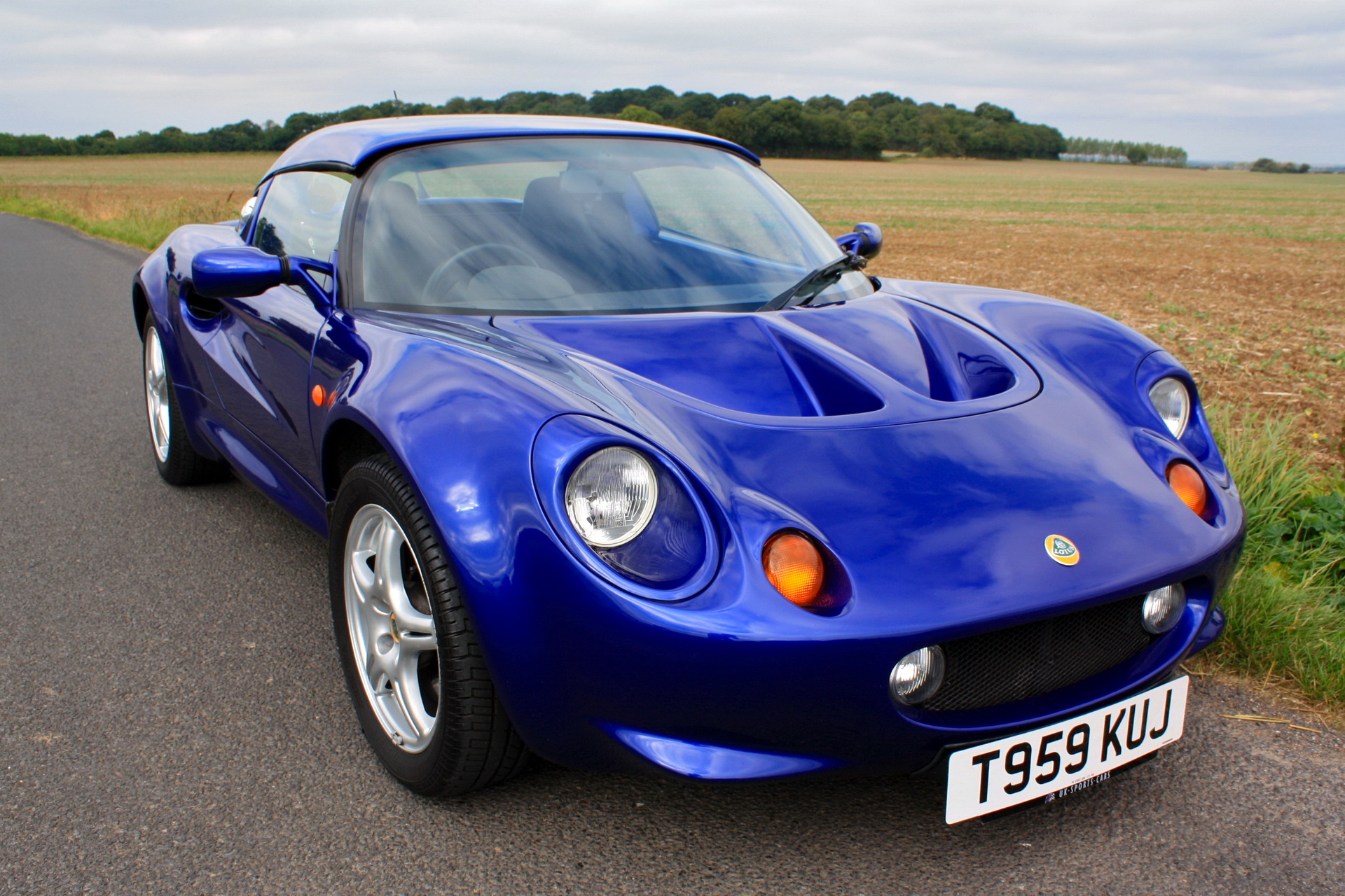 Lotus HD Wallpaper
