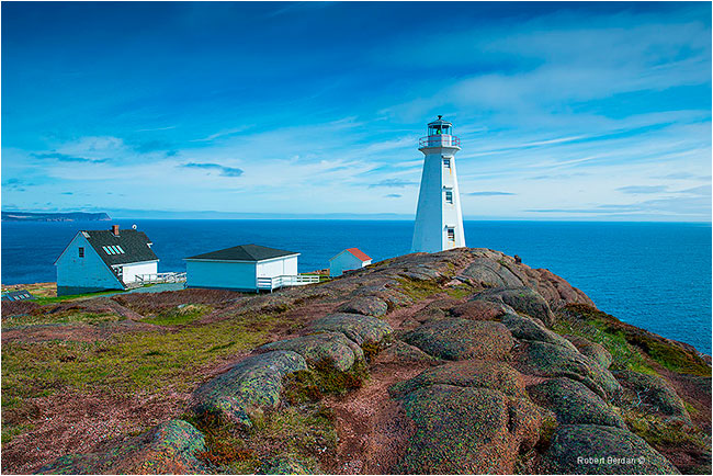 Newfoundland Nature For