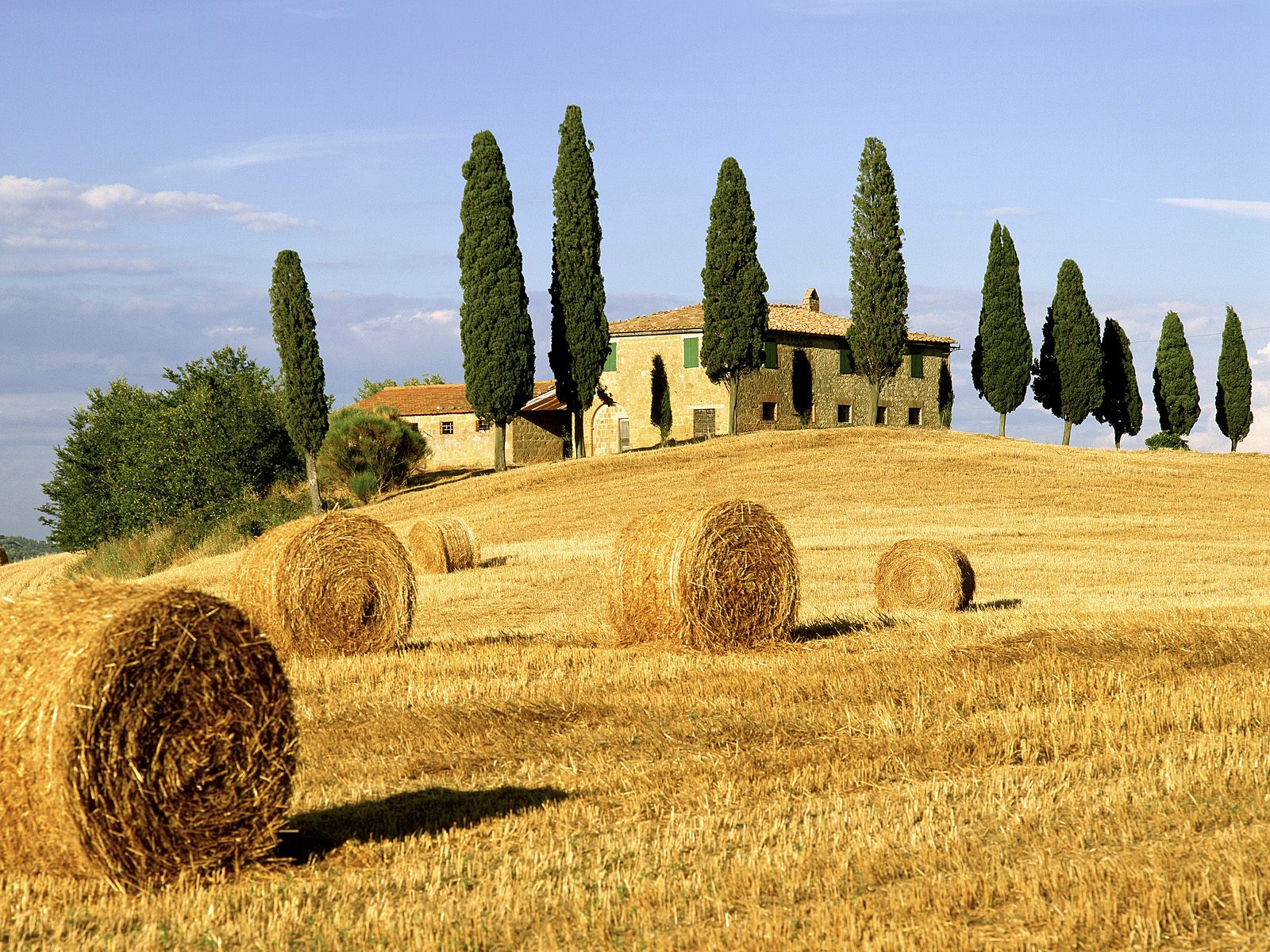 Countryside Tuscany Italy Wallpaper