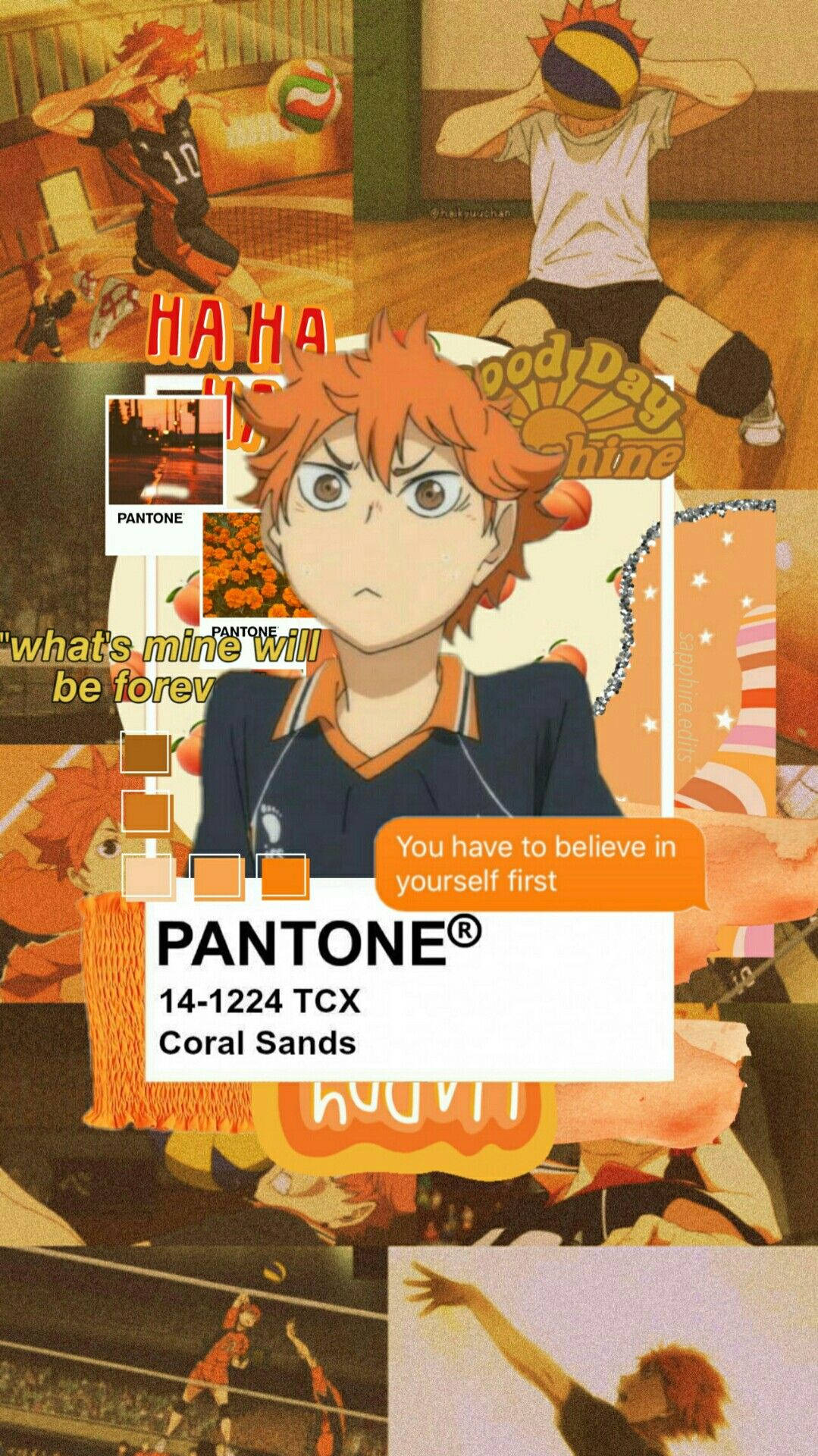 Shoyo Hinata Wallpaper