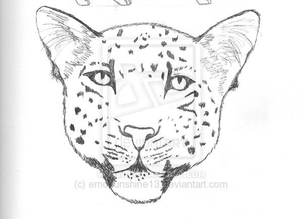 Leopard Drawing By Emosunshine13