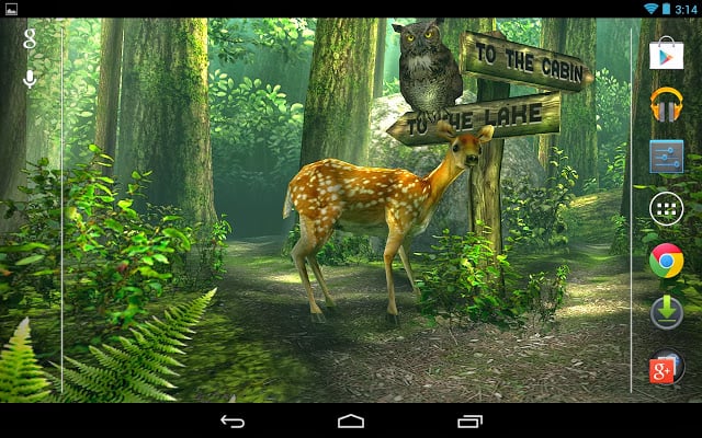Forest HD Live Wallpaper Android screenshots
